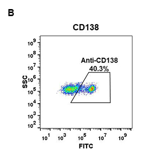 antibody-DME100045 CD138 FIG1B