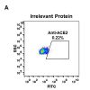 antibody-DME100046 ACE2 fig1A