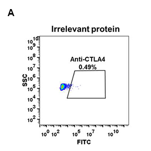 antibody-DME100050 flow fig 2A