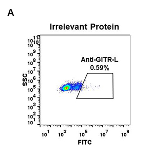 antibody-DME100052 GITR L 1A5 Irrelevant Protein fig1A