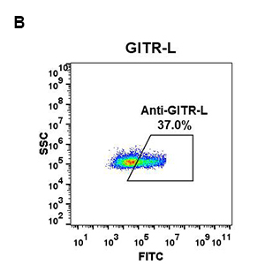 antibody-DME100052 GITR L 1A5 fig1B
