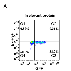 antibody-DME100053 B7H3 FLOW FIG2A
