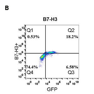 antibody-DME100053 B7H3 FLOW FIG2B