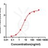 antibody-DME100054 S RBD Elisa FIG1