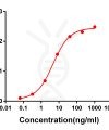 antibody-DME100054 S RBD Elisa FIG1