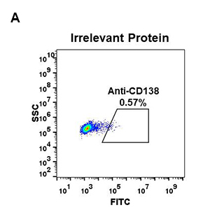 antibody-DME100056 CD138 flow fig1A