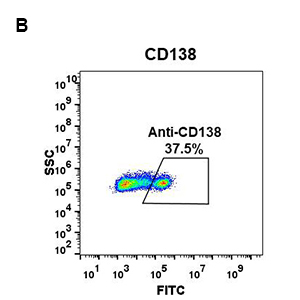 antibody-DME100056 CD138 flow fig1B