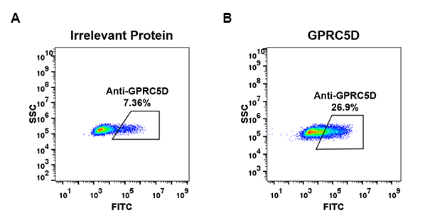 antibody-DME100060 GPRC5D Fig.2 FC 1