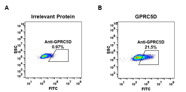 antibody-DME100061 GPRC5D Fig.2 FC 1