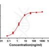 antibody-DME100064 CD28 Fig.1 Elisa 1