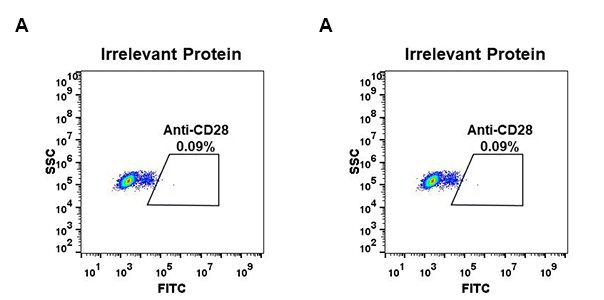 antibody-DME100064 CD28 Fig.2 FC 1