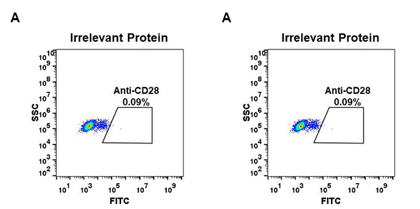 antibody-DME100064 CD28 Fig.2 FC 1