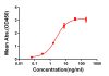 antibody-DME100066 4 1BB ELISA fig1