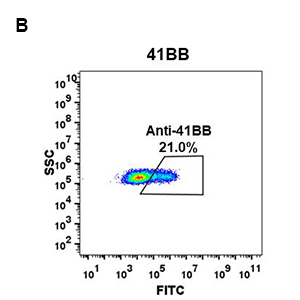 antibody-DME100066 4 1BB FLOW FIG2B