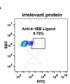 antibody-DME100068 4 1BBL 293 A FLOW fig 2