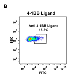antibody-DME100068 4 1BBL 293 B FLOW fig 2