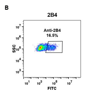 antibody-DME100070 2B4 293 B FLOW Fig2