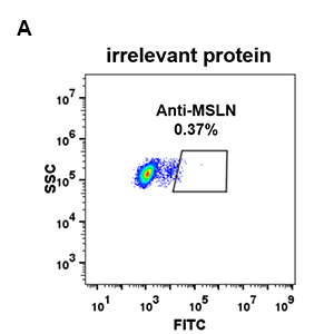 antibody-DME100072 MSLN FLOW 293 A Fig2
