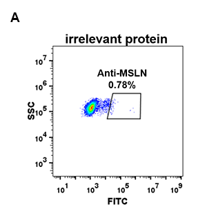 antibody-DME100073 MSLN FLOW 293 A Fig2
