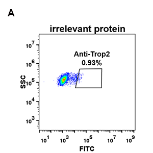 antibody-DME100074 Trop2 FLOW 293 A Fig2