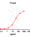 antibody-DME100075 Trop2 ELISA Fig1