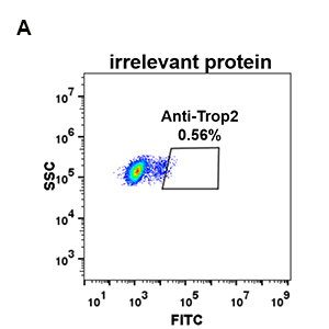 antibody-DME100076 Trop2 FLOW 293 A Fig2