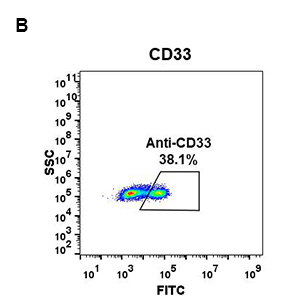 antibody-DME100077 CD33 FLOW FIG2B