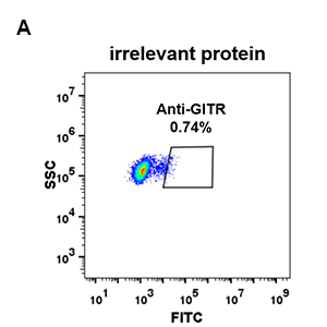 antibody-DME100078 GITR FLOW 293 A Fig2