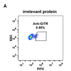 antibody-DME100079 GITR FLOW 293 A Fig2