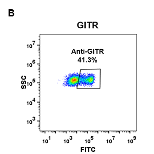 antibody-DME100079 GITR FLOW 293 B Fig2