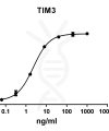 antibody-DME100081 TIM3 ELISA Fig1
