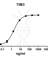 antibody-DME100082 TIM3 ELISA Fig1