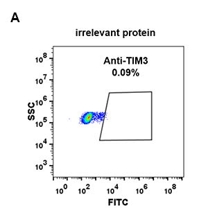 antibody-DME100082 TIM3 FLOW 293 A Fig2