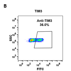 antibody-DME100082 TIM3 FLOW 293 B Fig2