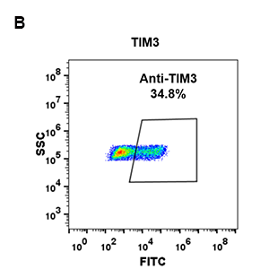 antibody-DME100083 TIM3 FLOW 293 B Fig2