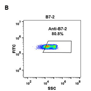 antibody-DME100086 B7 2 293 B Fig2