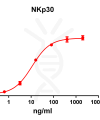 antibody-DME100088 NKp30 ELISA FIG1