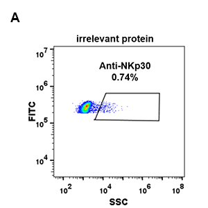 antibody-DME100088 NKp30 FLOW 293 A FIG2