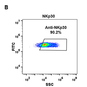 antibody-DME100088 NKp30 FLOW 293 B FIG2