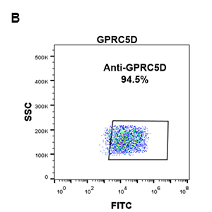 antibody-DME100090 GPRC5D 293B FLOW Fig2