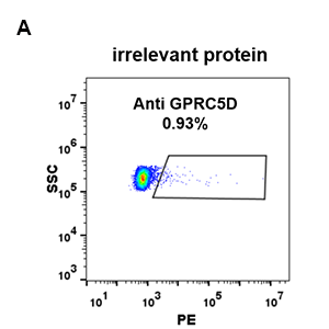 antibody-DME100091 GPRC5D FLOW 293 A Fig2