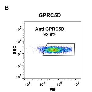 antibody-DME100091 GPRC5D FLOW 293 B Fig2