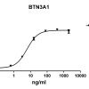 antibody-DME100092 BTN3A1 ELISA Fig1
