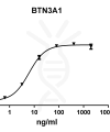antibody-DME100092 BTN3A1 ELISA Fig1