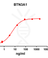 antibody-DME100093 BTN3A1 ELISA Fig1