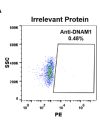 antibody-DME100095 DNAM 1 FLOW 293 A Fig2