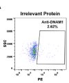 antibody-DME100096 DNAM 1 FLOW 293 A Fig2