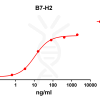 antibody-DME100097 B7 H2 ELISA Fig1