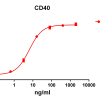 antibody-DME100100 CD40 ELISA Fig1