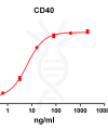antibody-DME100100 CD40 ELISA Fig1